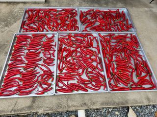 박영석님의 자유주제 · 자유게시판 작성글 사진