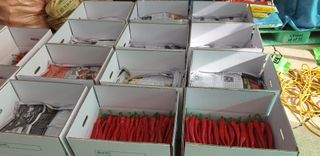 전봉우(채미농원)님의 고추 · 수확 작성글 사진