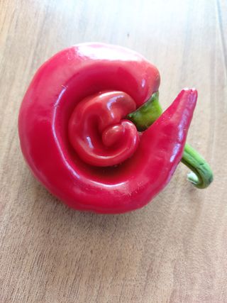 감16190님의 고추 · 영농일지 작성글 사진