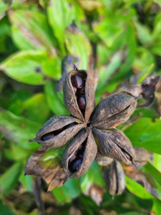 이호성님의 기타작물 · 자유게시판 작성글 사진