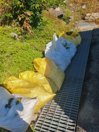 이호성님의 기타작물 · 자유게시판 작성글 사진