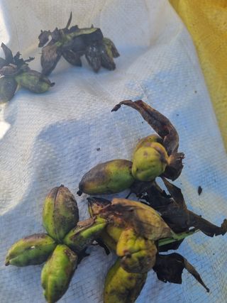 이호성님의 기타작물 · 자유게시판 작성글 사진