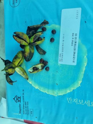 이호성님의 기타작물 · 자유게시판 작성글 사진