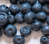 팜모닝 8월 내 작물 자랑하기·참여글 게시글 이미지