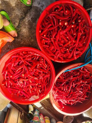 전병대님의 8월 내 작물 자랑하기 · 참여글 작성글 사진