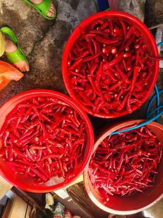 전병대님의 8월 내 작물 자랑하기 · 참여글 작성글 사진