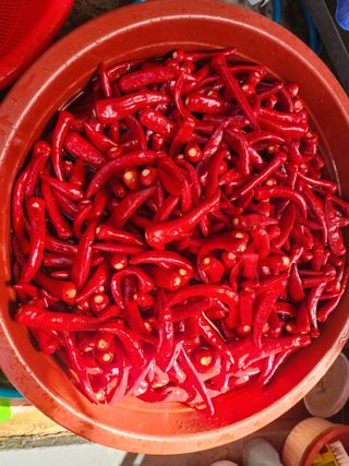 전병대님의 8월 내 작물 자랑하기 · 참여글 작성글 사진