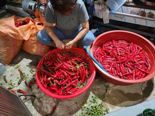 전병대님의 8월 내 작물 자랑하기 · 참여글 작성글 사진