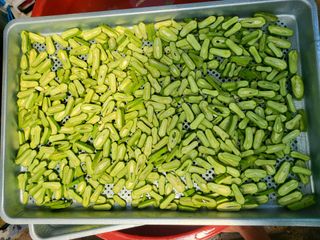 체리123님의 고추 · 수확 작성글 사진