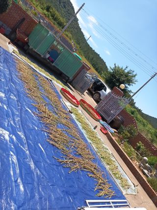 김은숙님의 8월 내 작물 자랑하기 · 참여글 작성글 사진