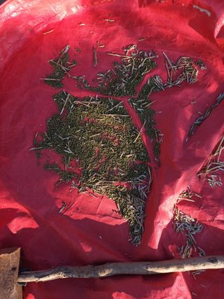 김은숙님의 8월 내 작물 자랑하기 · 참여글 작성글 사진