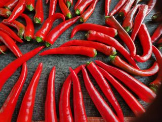 배순녀님의 8월 내 작물 자랑하기 · 참여글 작성글 사진