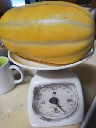 휘성님의 8월 내 작물 자랑하기 · 참여글 작성글 사진