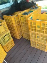 팜모닝 · 게시글 이미지