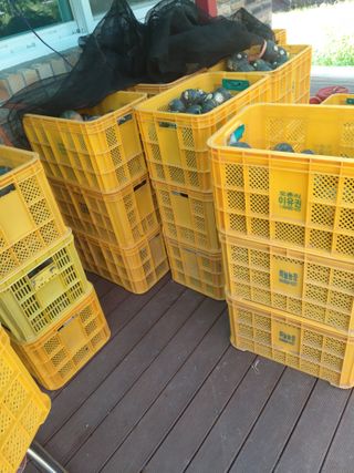 유석범님의 작성글 사진