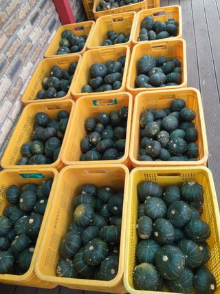 유석범님의 작성글 사진