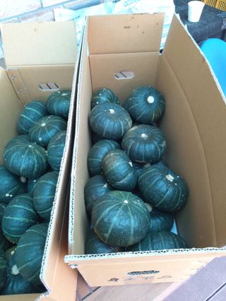 유석범님의 작성글 사진