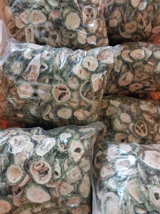 류남열님의 8월 내 작물 자랑하기 · 참여글 작성글 사진