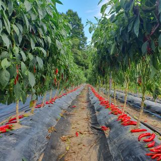 김용관님의 자유주제 · 자유게시판 작성글 사진