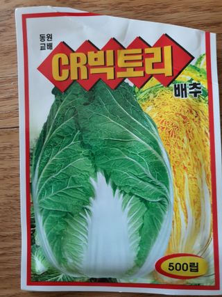 이창열님의 배추 · 파종•정식 작성글 사진