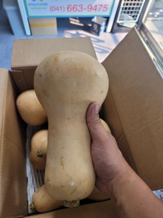 대산농사대장님의 콩 · 자유게시판 작성글 사진