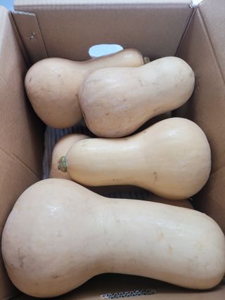 대산농사대장님의 콩 · 자유게시판 작성글 사진