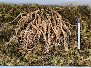 진상빈님의 작성글 사진