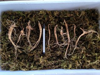 진상빈님의 작성글 사진