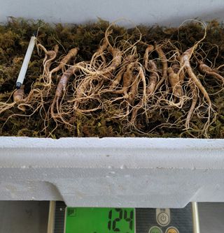 진상빈님의 작성글 사진