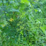 팜모닝 8월 내 작물 자랑하기·참여글 게시글 이미지