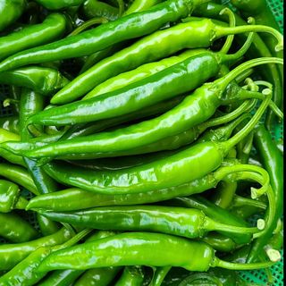 평창산들농장님의 8월 내 작물 자랑하기 · 참여글 작성글 사진