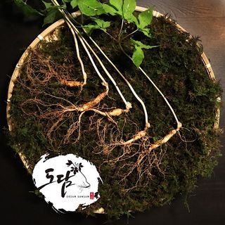 진상빈님의 8월 내 작물 자랑하기 · 참여글 작성글 사진