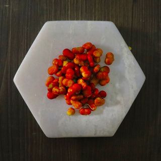 진상빈님의 8월 내 작물 자랑하기 · 참여글 작성글 사진