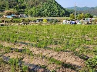 이창신님의 8월 내 작물 자랑하기 · 참여글 작성글 사진