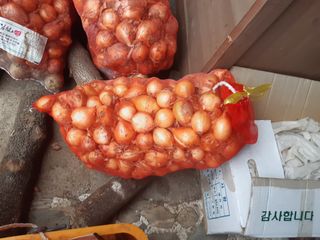 이용근님의 양파 · 자유게시판 작성글 사진