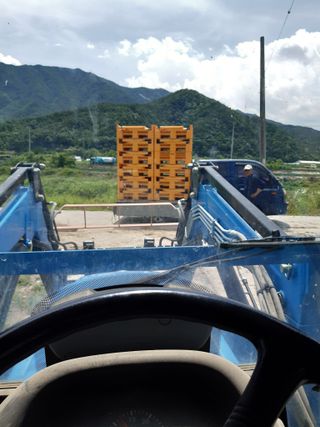 이용근님의 양파 · 자유게시판 작성글 사진