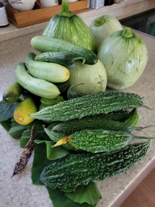 동해리님의 자유주제 · 자유게시판 작성글 사진