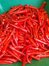 팜모닝 8월 내 작물 자랑하기·참여글 게시글 이미지