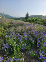 팜모닝 8월 내 작물 자랑하기·참여글 게시글 이미지