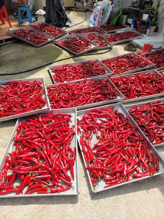 이름유순옥님의 8월 내 작물 자랑하기 · 참여글 작성글 사진