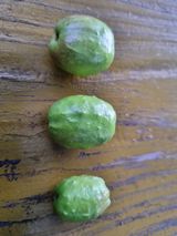 팜모닝 자유주제·자유게시판 게시글 이미지