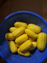 팜모닝 8월 내 작물 자랑하기·참여글 게시글 이미지