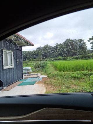 백현호님의 벼 · 자유게시판 작성글 사진