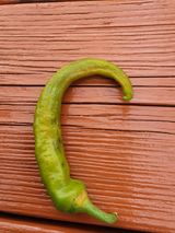 팜모닝 고추·병해충상담 게시글 이미지