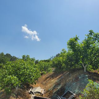 알 수 없음님의 장터이야기 · 자유게시판 작성글 사진