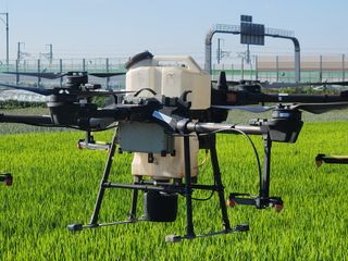 박정하님의 벼 · 자유게시판 작성글 사진