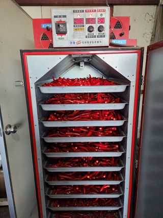 파더곰님의 콩 · 영농일지 작성글 사진