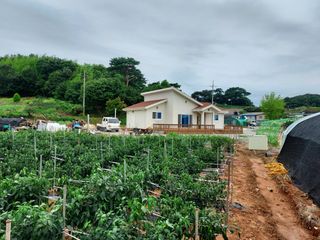 Joosoungso님의 8월 내 작물 자랑하기 · 참여글 작성글 사진