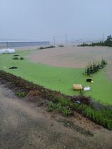 팜모닝 8월 내 작물 자랑하기·참여글 게시글 이미지