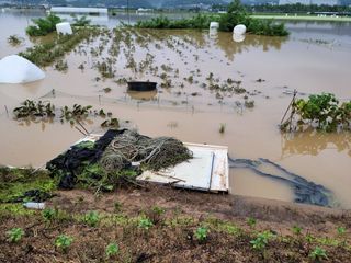 깜돌님의 8월 내 작물 자랑하기 · 참여글 작성글 사진